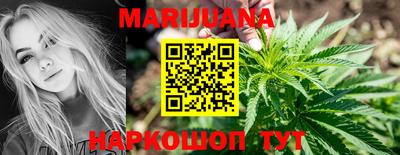 Альфа ПВП Камышлов