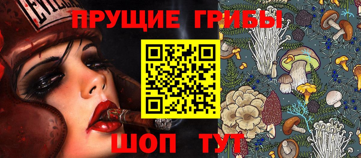 Псилоцибиновые грибы Psilocybe Искитим