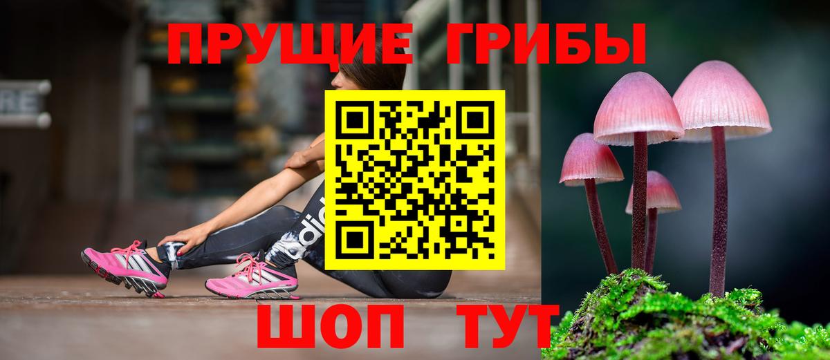 Псилоцибиновые грибы Magic Shrooms  Вход с VPN  Псилоцибиновые грибы Magic Shrooms  купить наркотики сайты  Искитим 